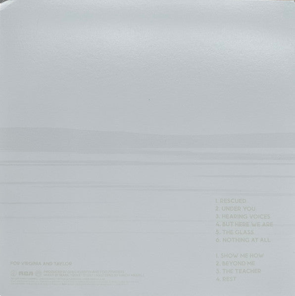 LP Foo Fighters – But Here We Are