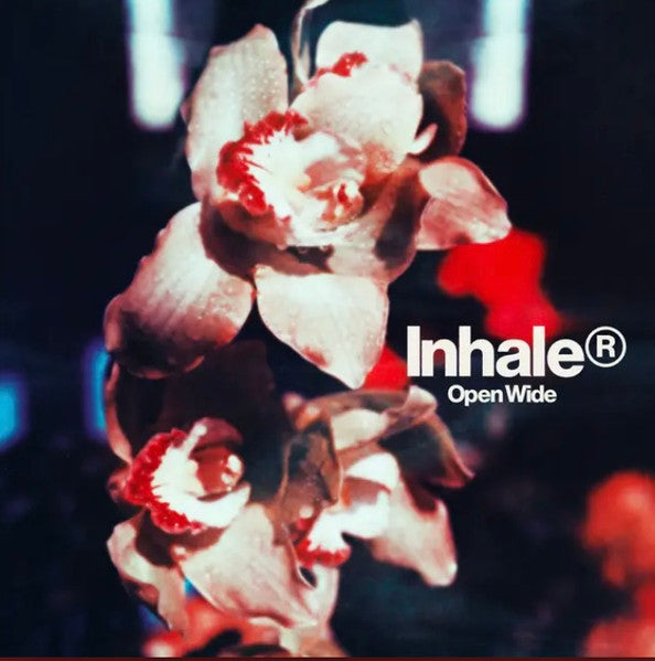 LP Inhaler (12) – Open Wide