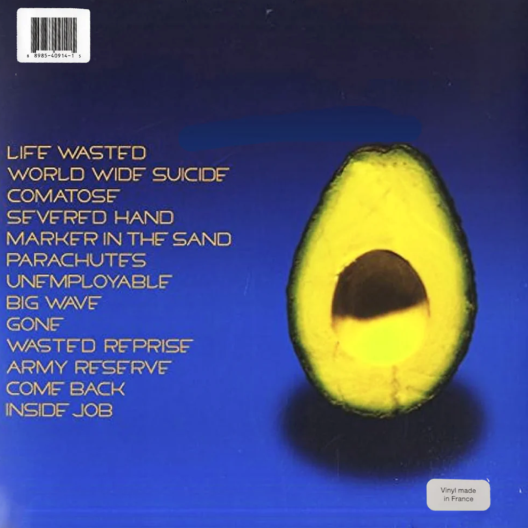 LPX2 Pearl Jam ‎– Pearl Jam