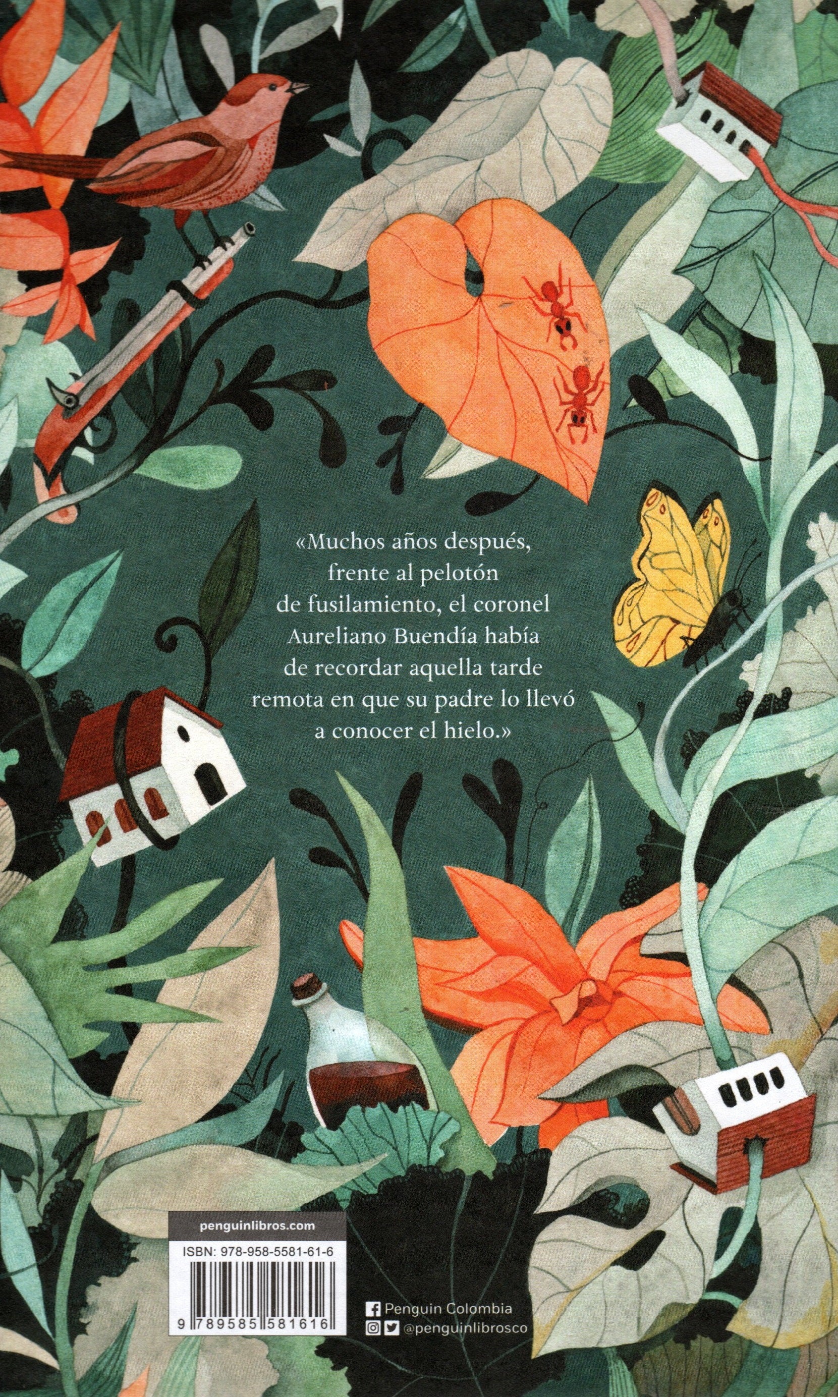 Libro Gabriel García Márquez - Cien Años De Soledad (Edición Ilustrada)