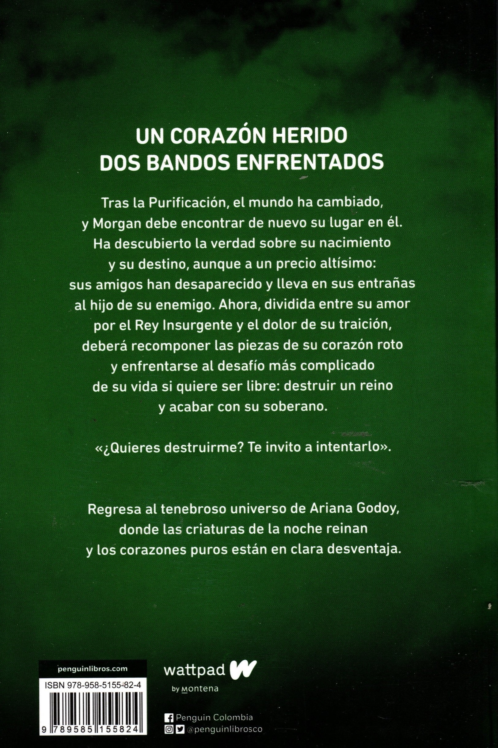 Libro Ariana Godoy - El Nuevo Mundo (Almas Perdidas 2)