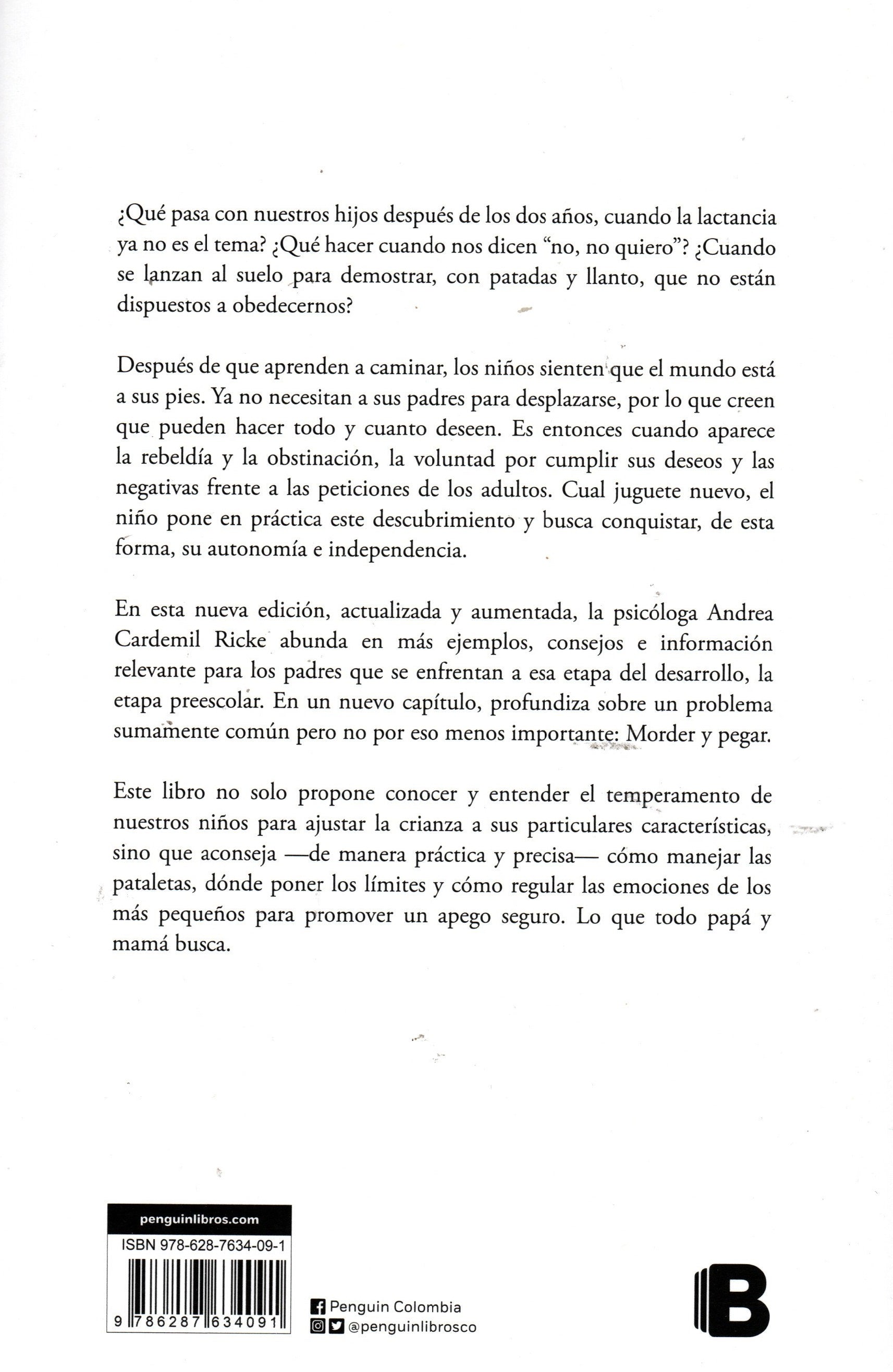 Libro Andrea Cardemil - Apego Seguro