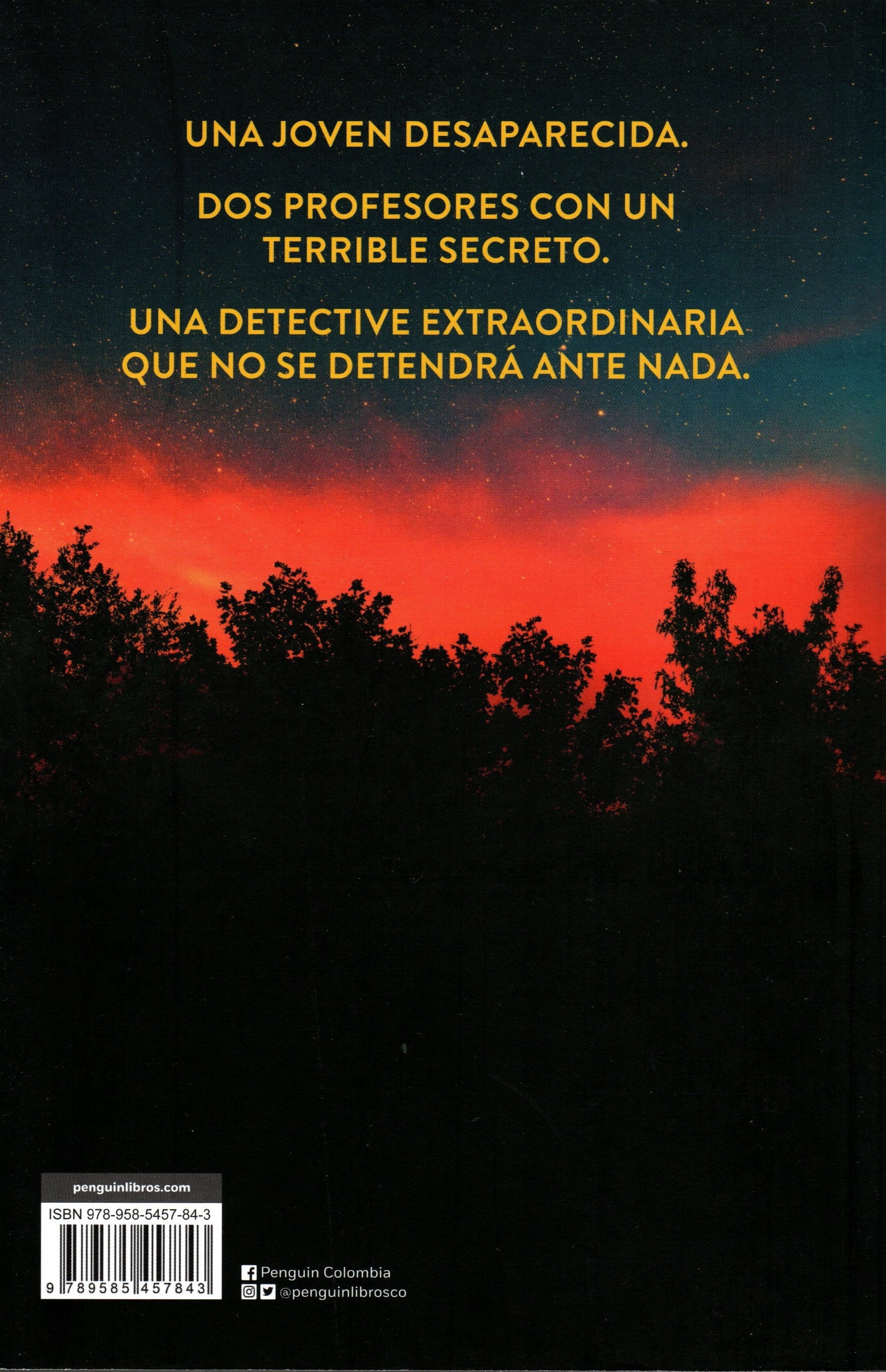 Libro Stephen King - Holly