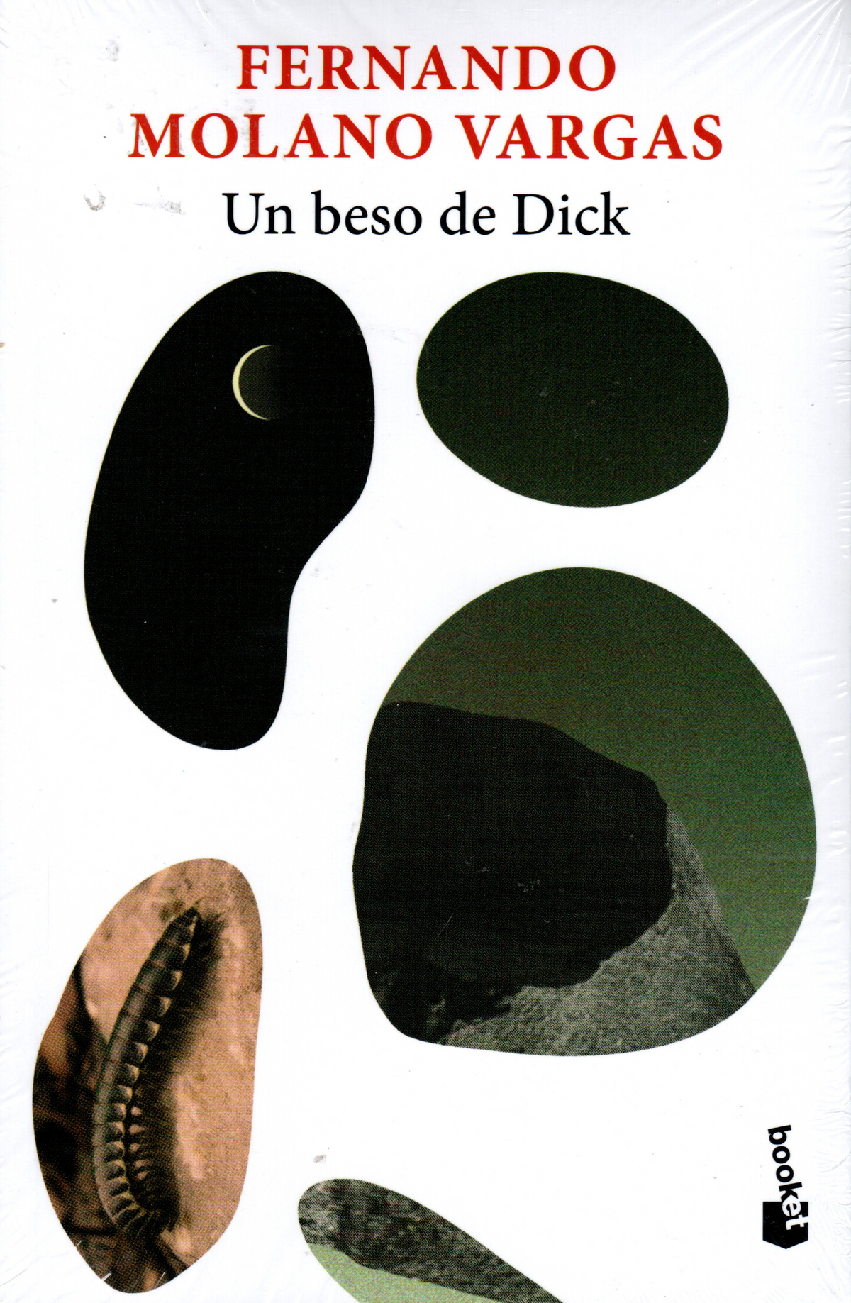 Libro  Fernando Molano Vargas - Un beso de Dick
