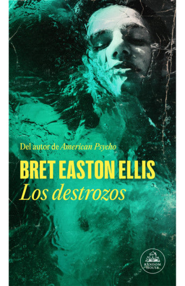 Libro Bret Easton Ellis - Los destrozos