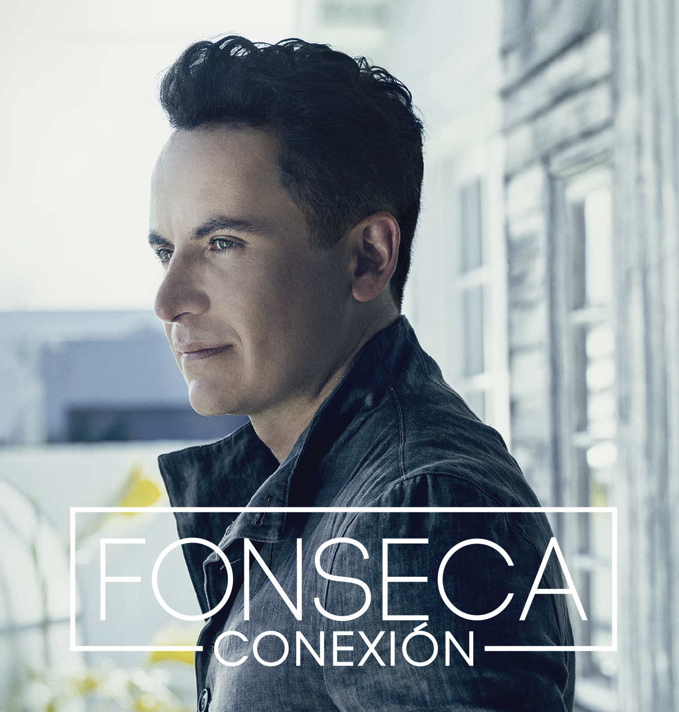 CDX2 Fonseca - Conexión