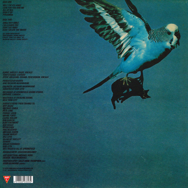 LP Budgie – Impeckable