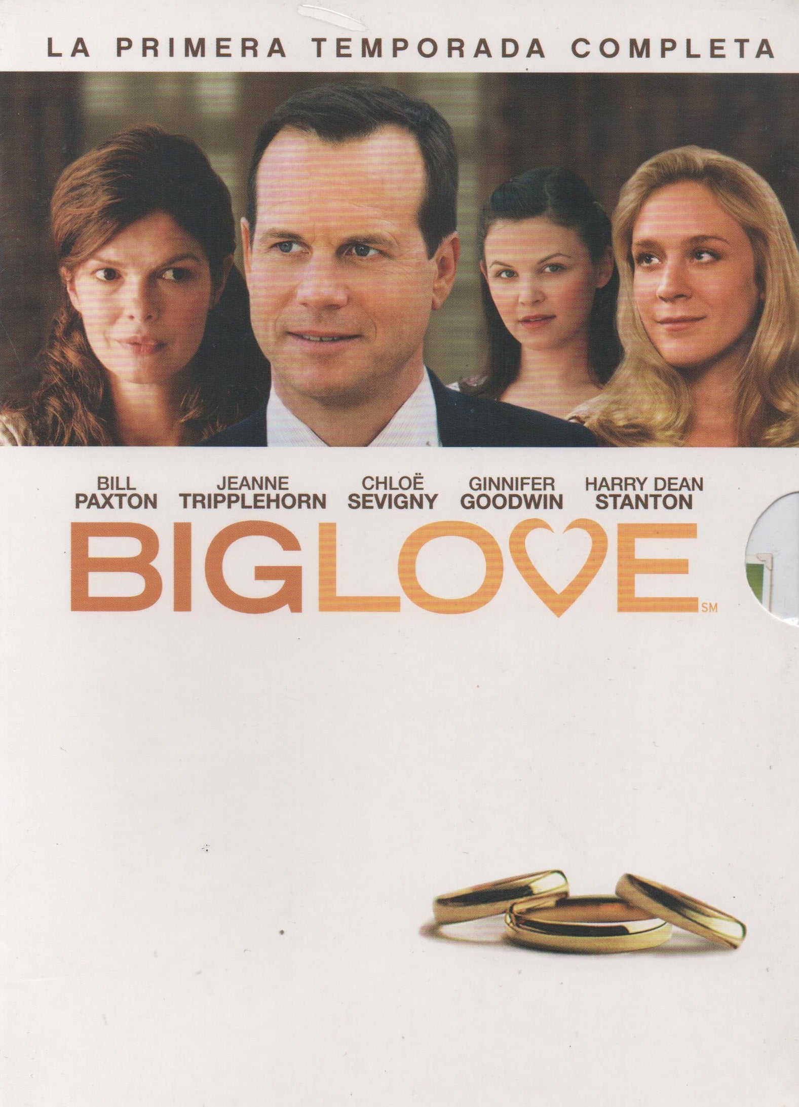 DVD x5 Big love - Primera temporada