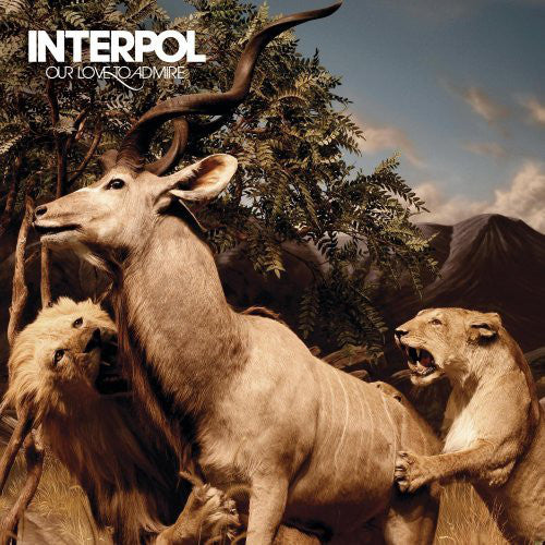 CD + DVD Interpol · Our Love To Admire