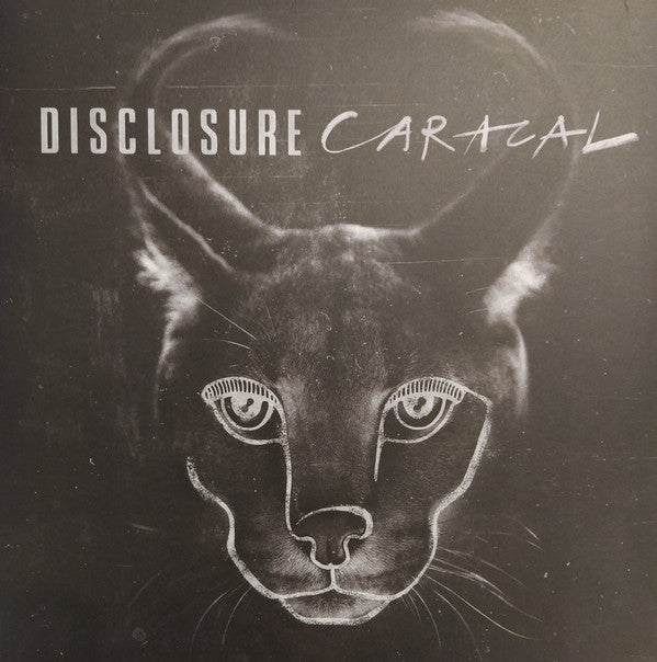 LP Disclosure – Caracal
