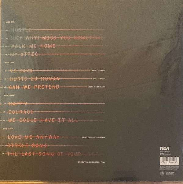 LPX2 P!nk ‎– Hurts 2B Human