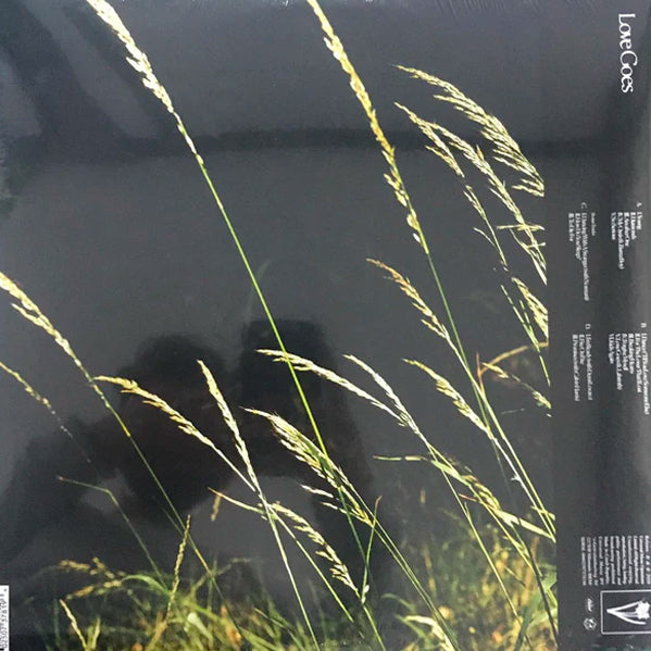 LP X2 Sam Smith – Love Goes