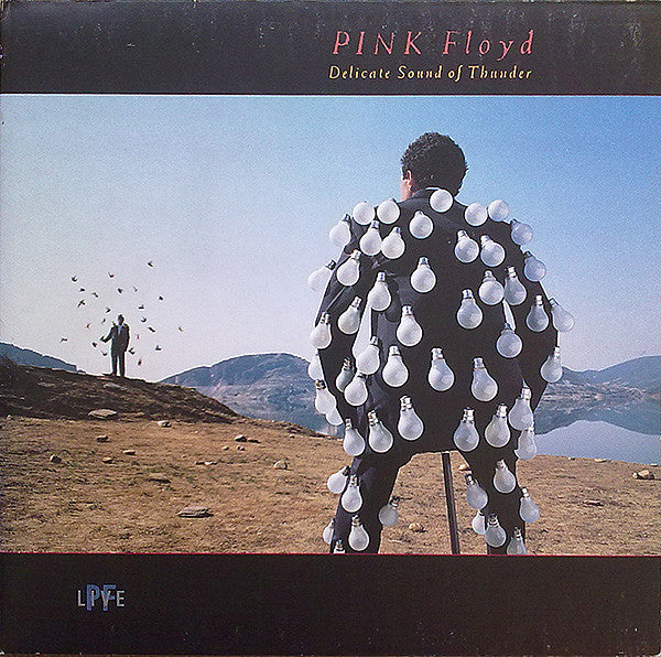 LPX2 PINK FLOYD DELICATE SOUND OF THUNDER