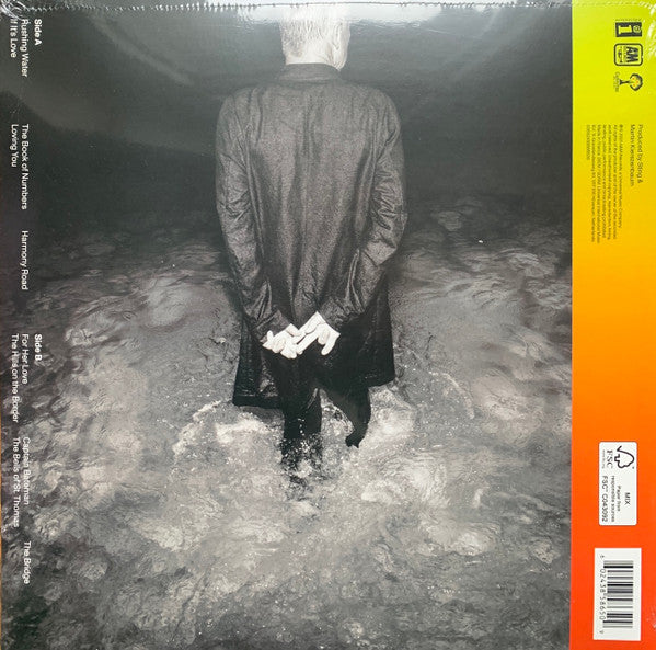 LP Sting – The Bridge