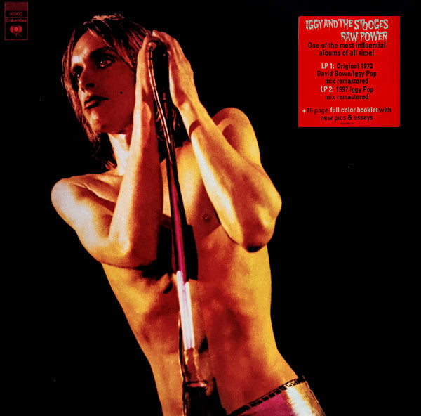 LP X2  Iggy And The Stooges – Raw Power