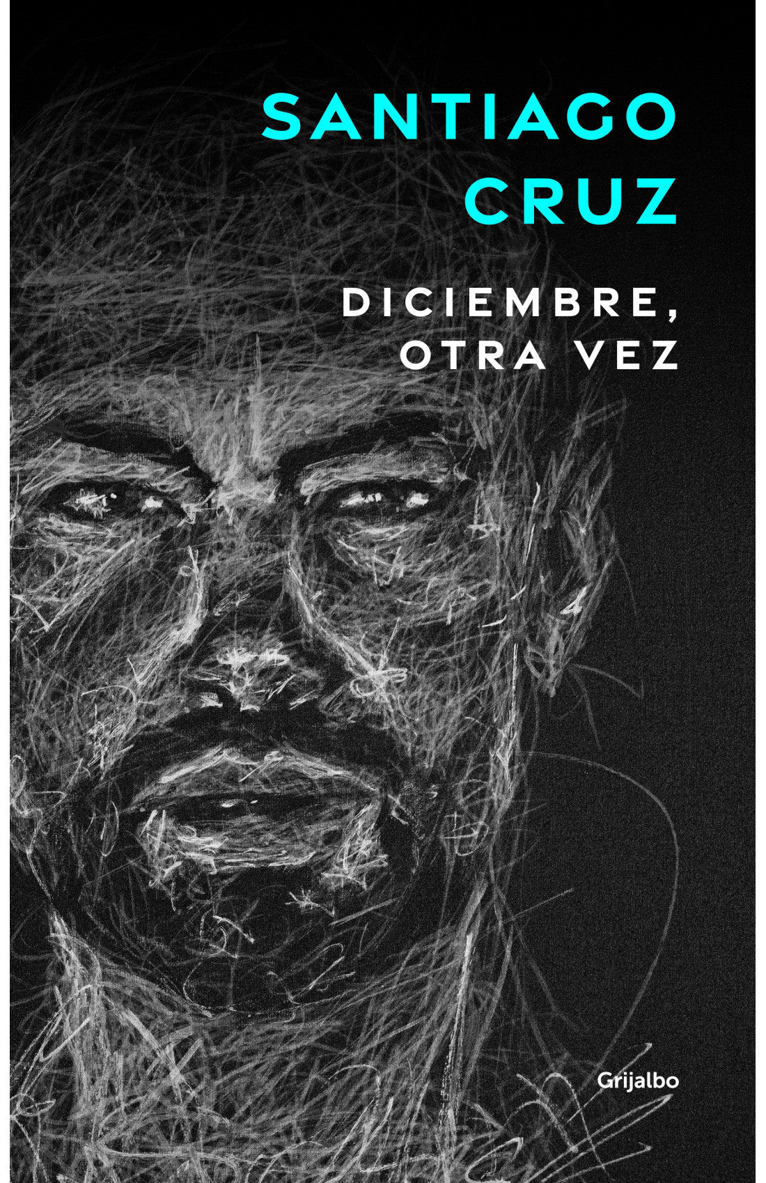 Libro Santiago Cruz - Diciembre Otra Vez