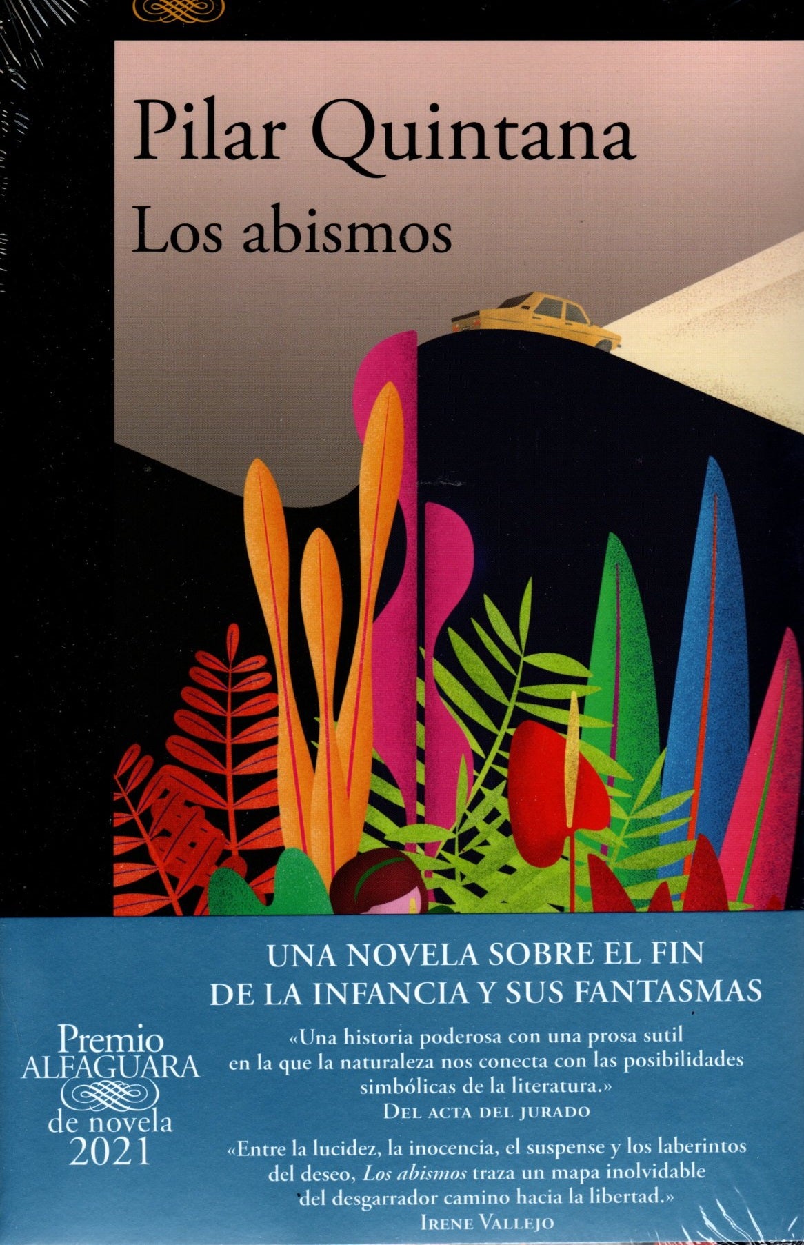 Libro Pilar Quintana - Los Abismos