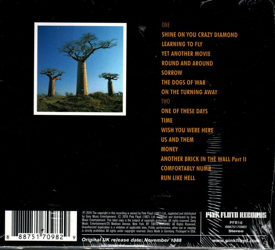 CD X2 Pink Floyd - Delicate Sound Of Thunder