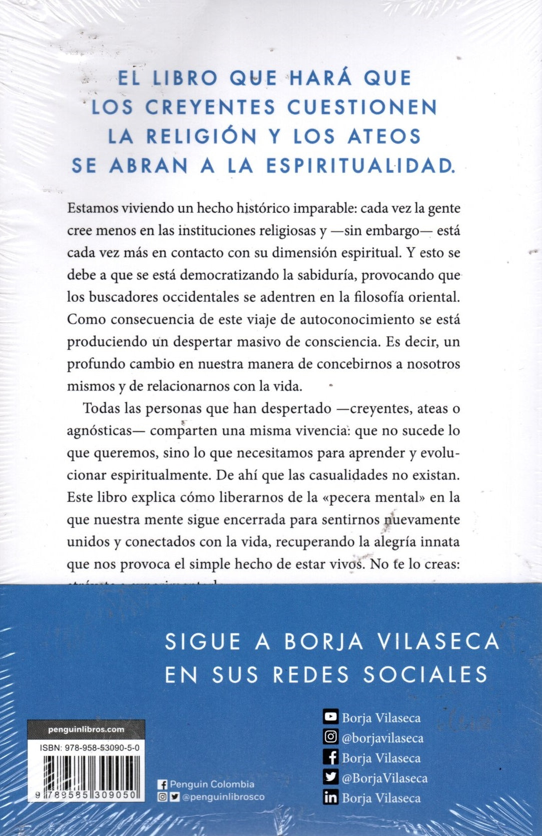 Libro Borja Vilaseca - Las Casualidades No Existen