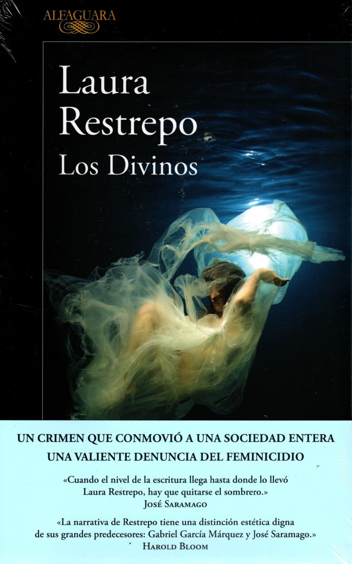 Libro Laura Restrepo - Los Divinos