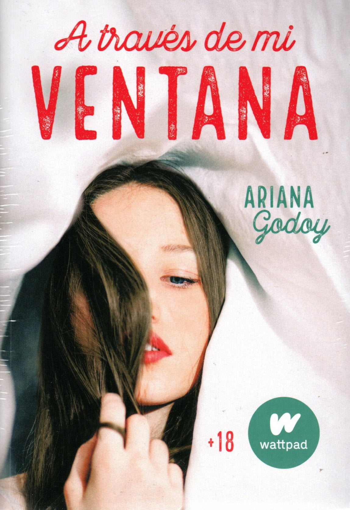 Libro Ariana Godoy - A Través De Mi Ventana