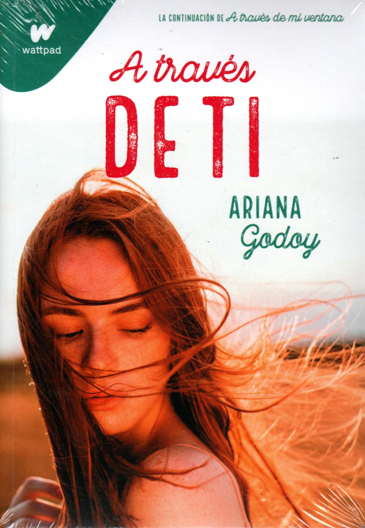Libro Ariana Godoy - A Través De Ti