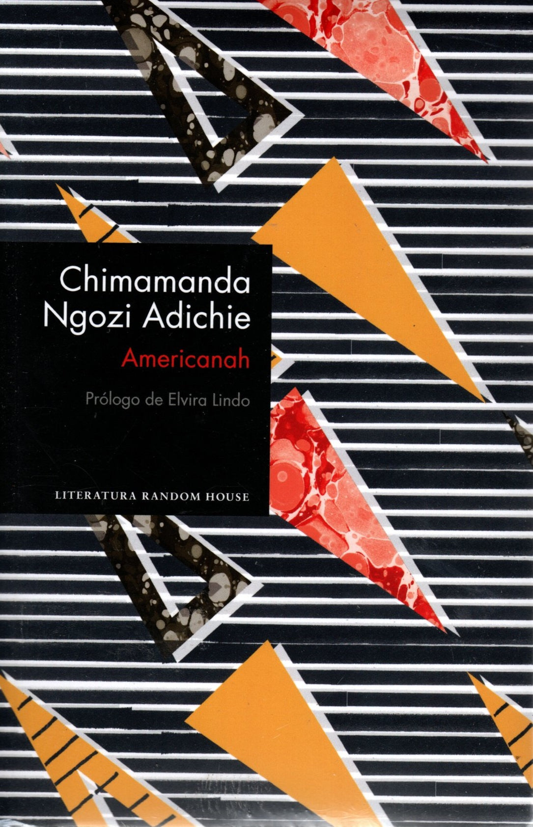 Libro Ngozi Adichie - Chimamanda