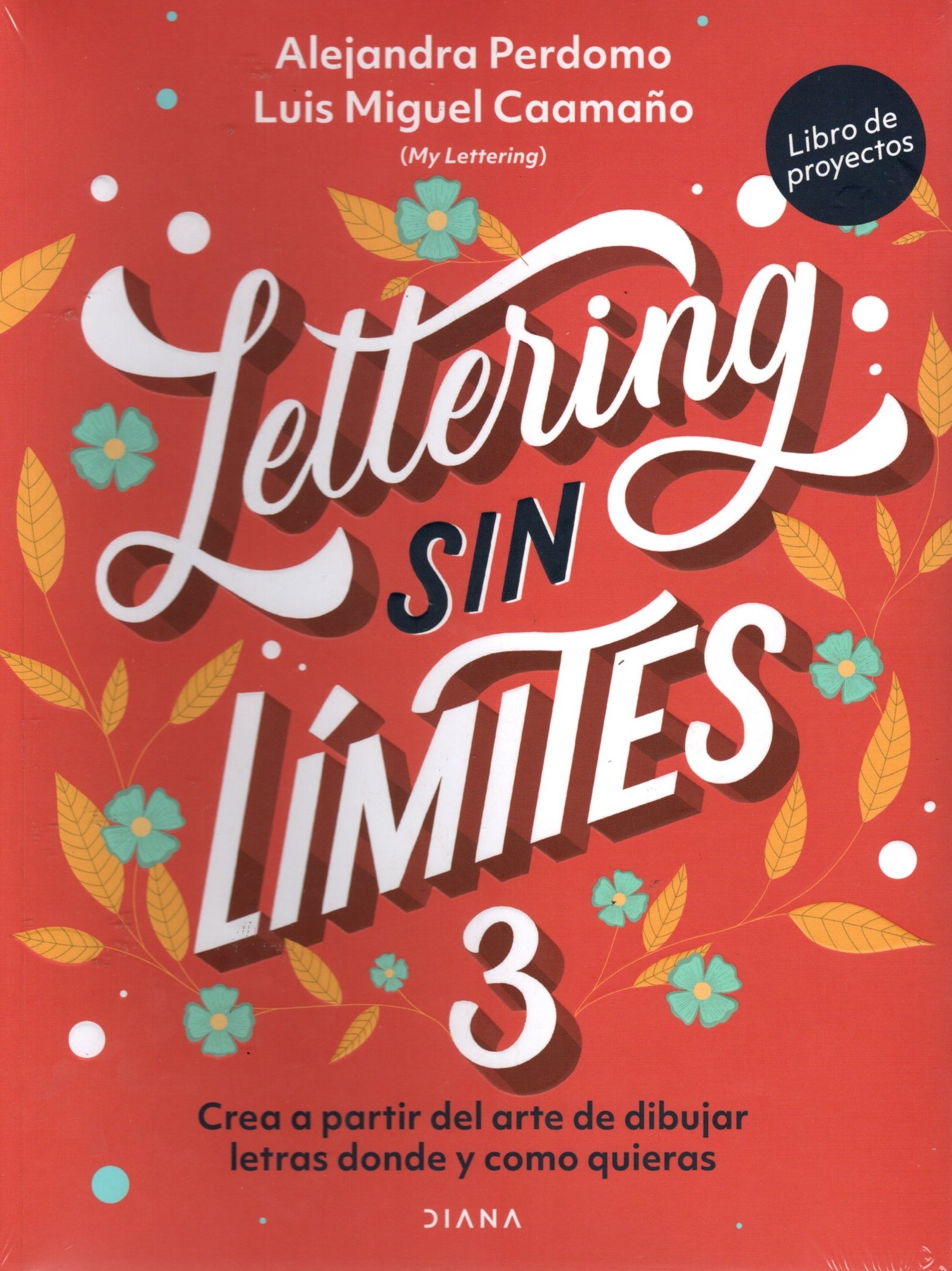 Libro Alejandra Perdomo Bohorquez | Luis Miguel Caamaño Morales - Lettering Sin Límites 3