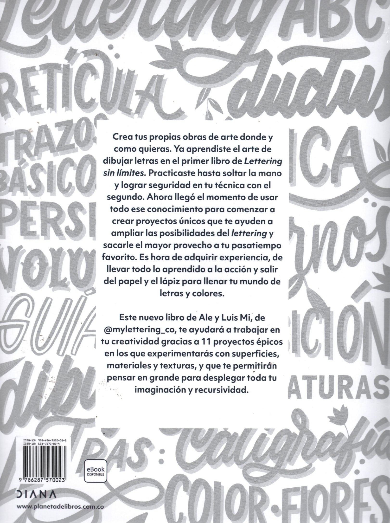 Libro Alejandra Perdomo Bohorquez | Luis Miguel Caamaño Morales - Lettering Sin Límites 3