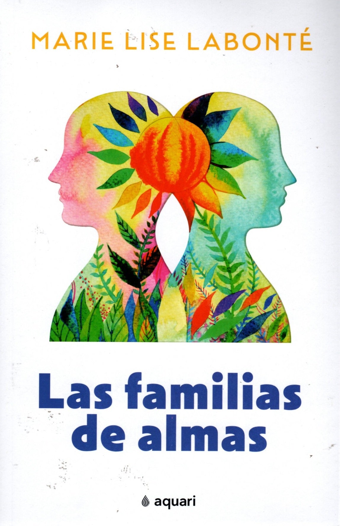 Libro Marie Lise Labonté - Las familias de almas