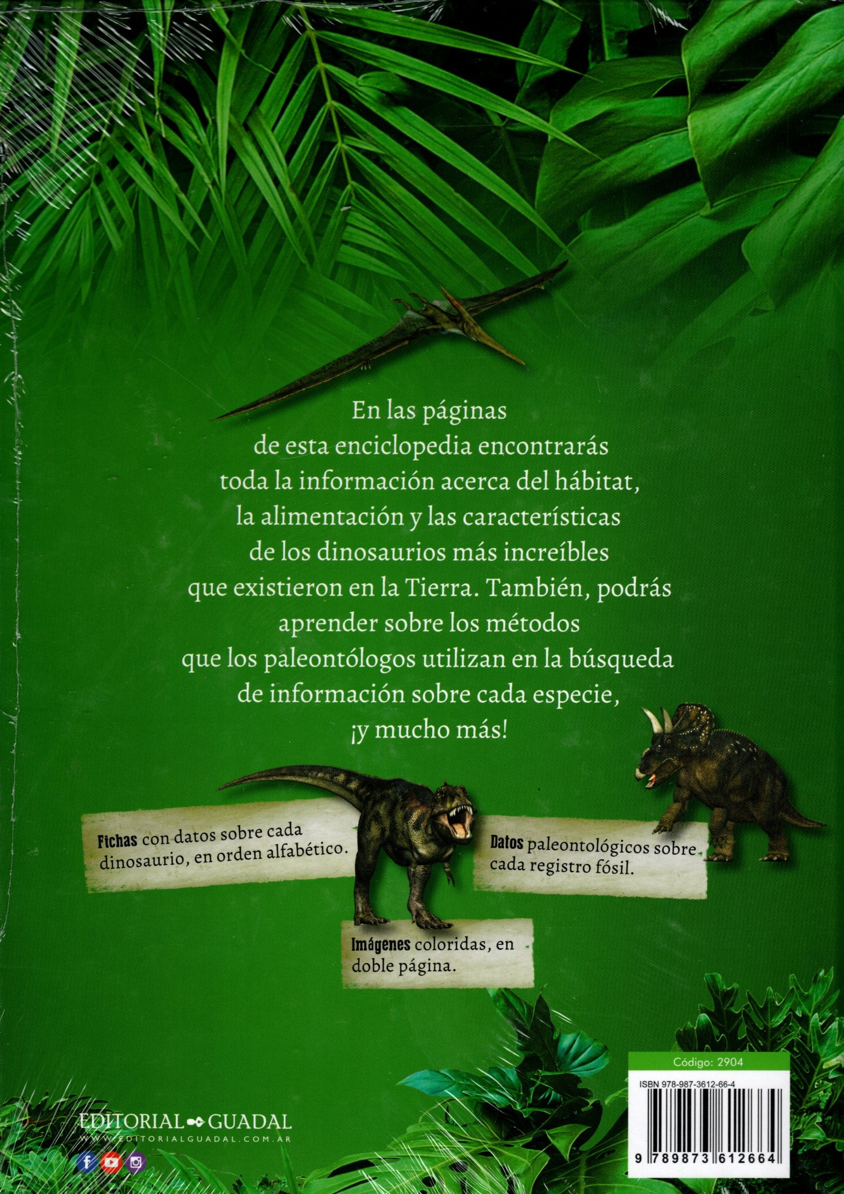 Libro Enciclopedia De Dinosaurios