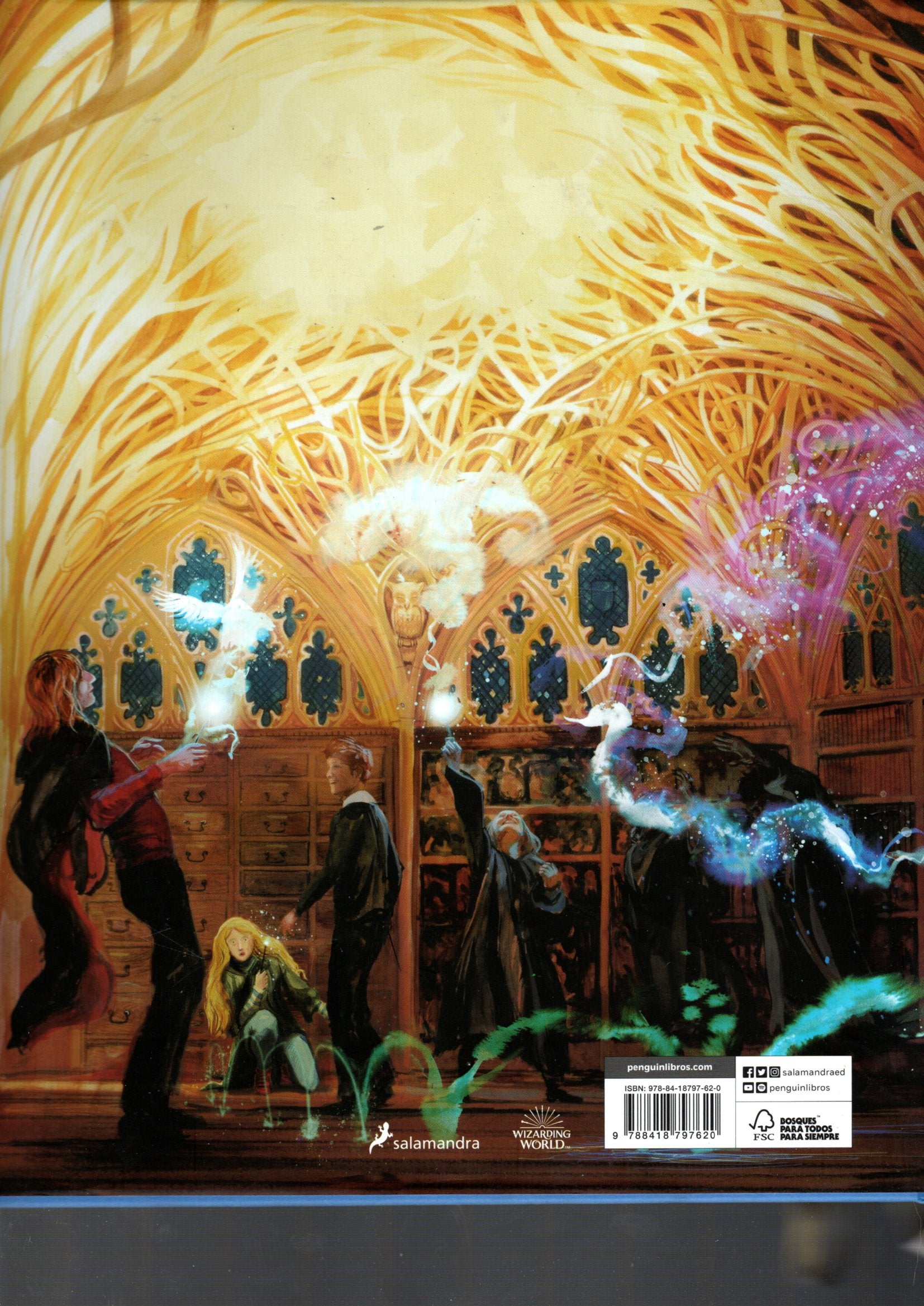 Libro J. K. Rowling - Harry Potter y la Orden del Fénix (Harry Potter edición ilustrada 5)
